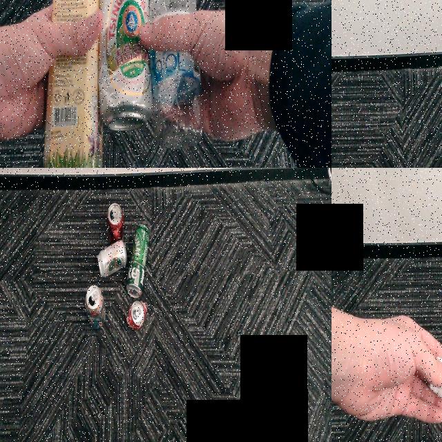 Dataset Image
