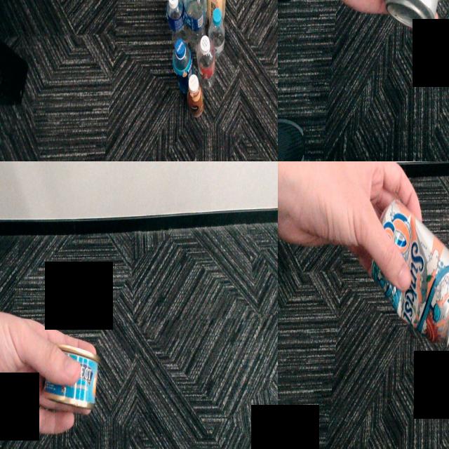Dataset Image