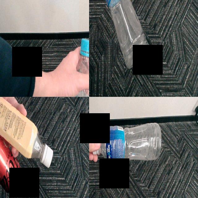 Dataset Image