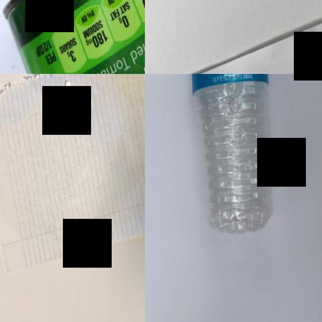 Dataset Image