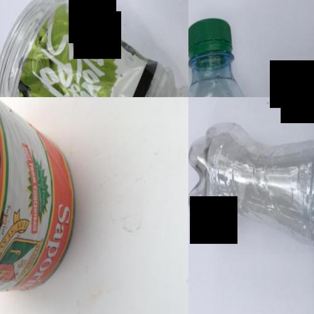 Dataset Image