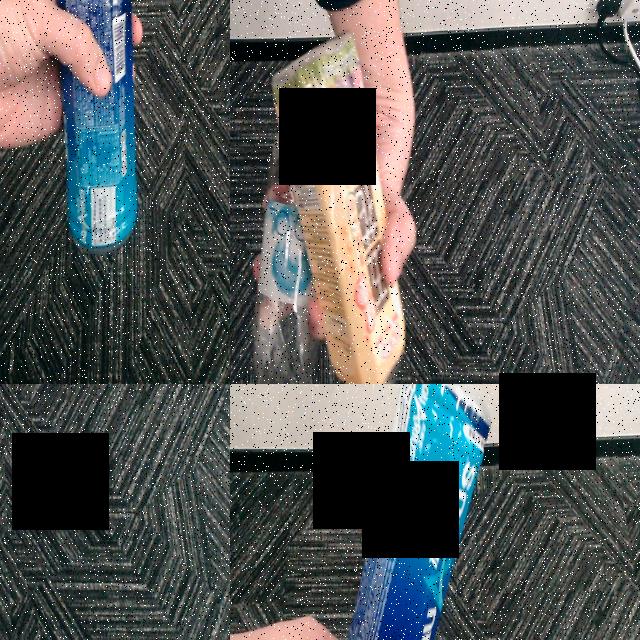 Dataset Image