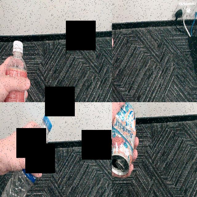 Dataset Image