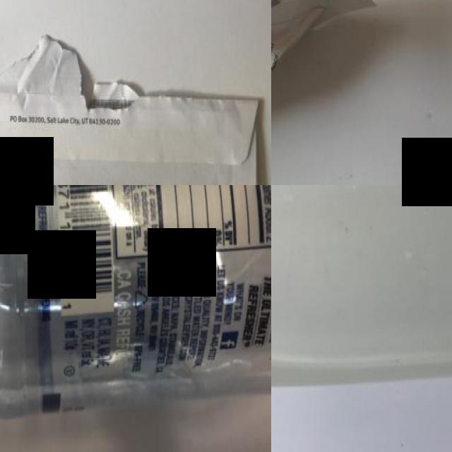 Dataset Image