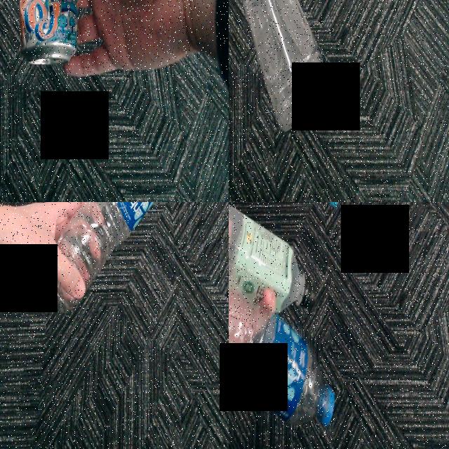 Dataset Image