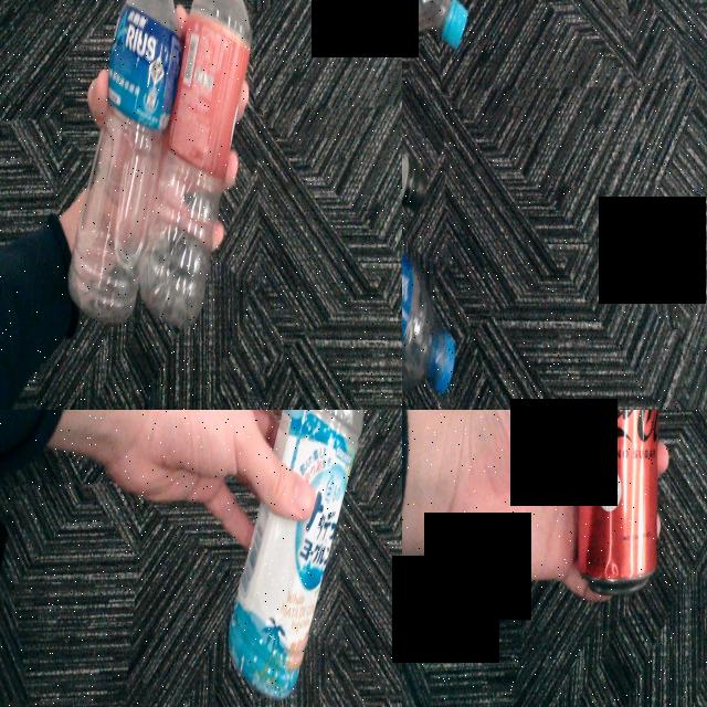 Dataset Image