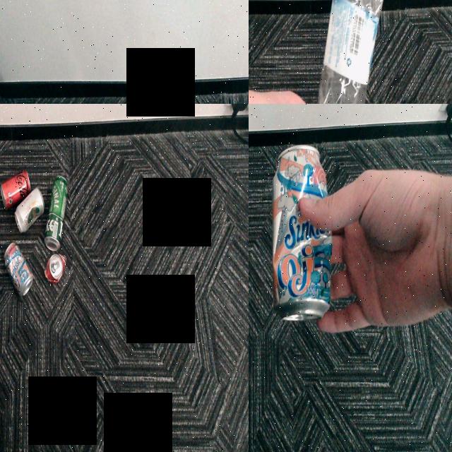 Dataset Image