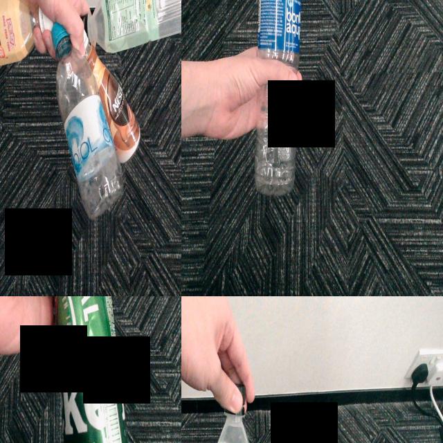 Dataset Image