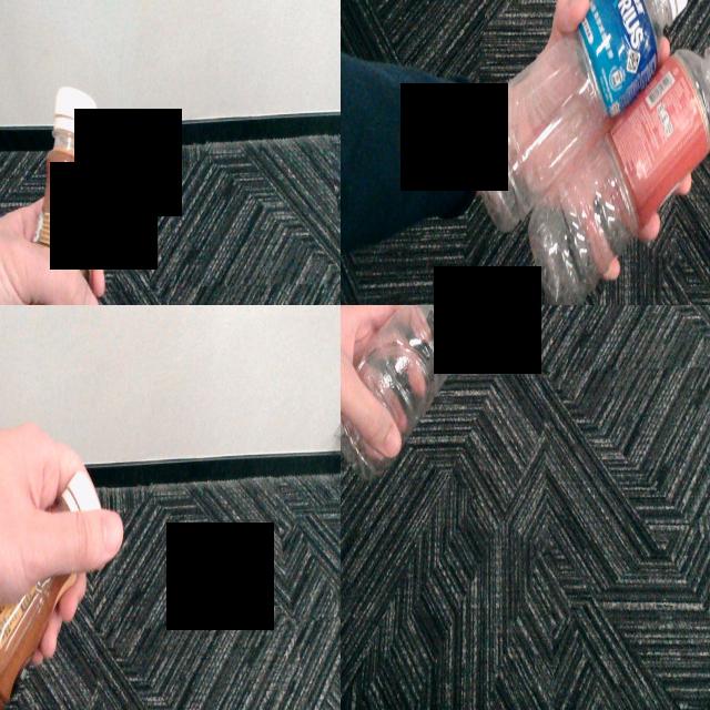 Dataset Image