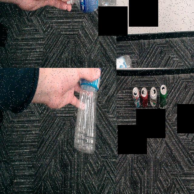 Dataset Image