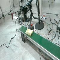 Dataset Image