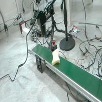 Dataset Image