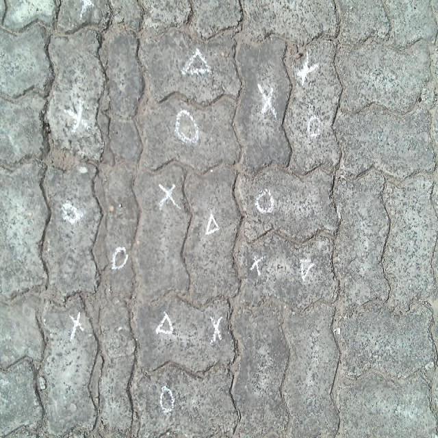 Dataset Image