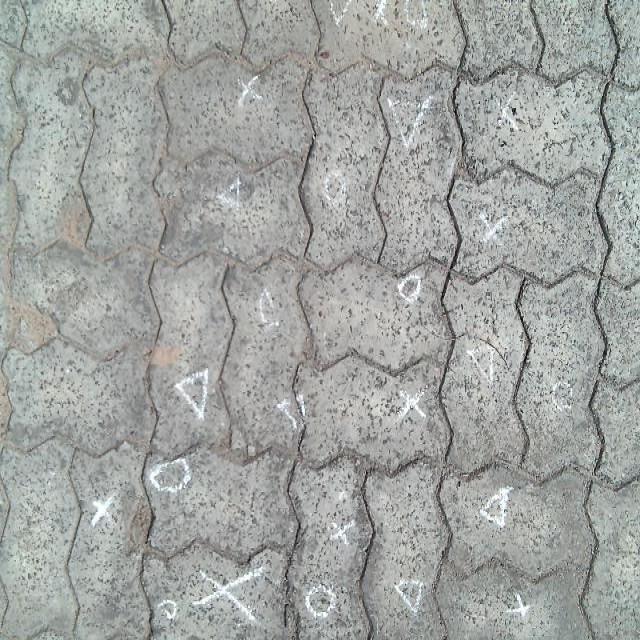 Dataset Image