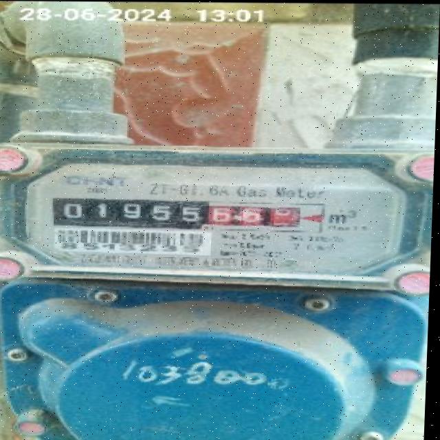 Dataset Image