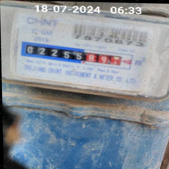 Dataset Image