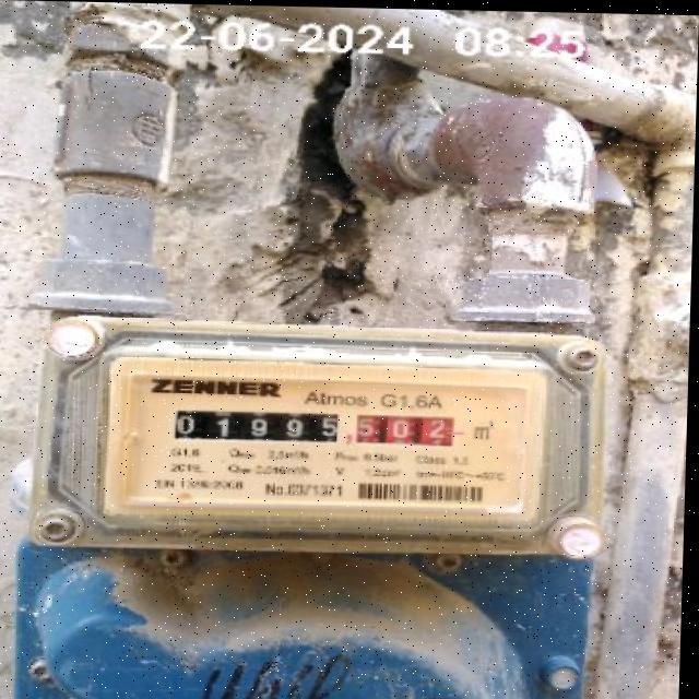 Dataset Image