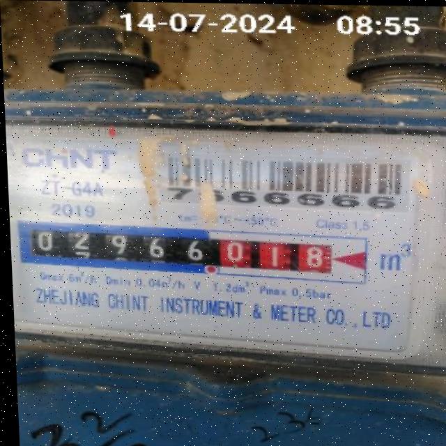 Dataset Image