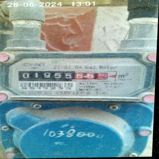 Dataset Image