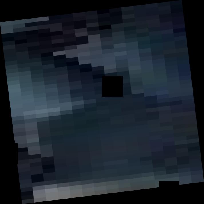 Dataset Image