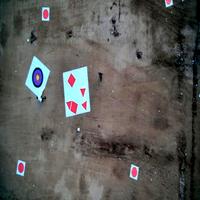 Dataset Image