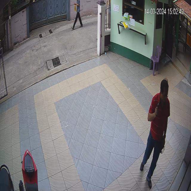 Dataset Image