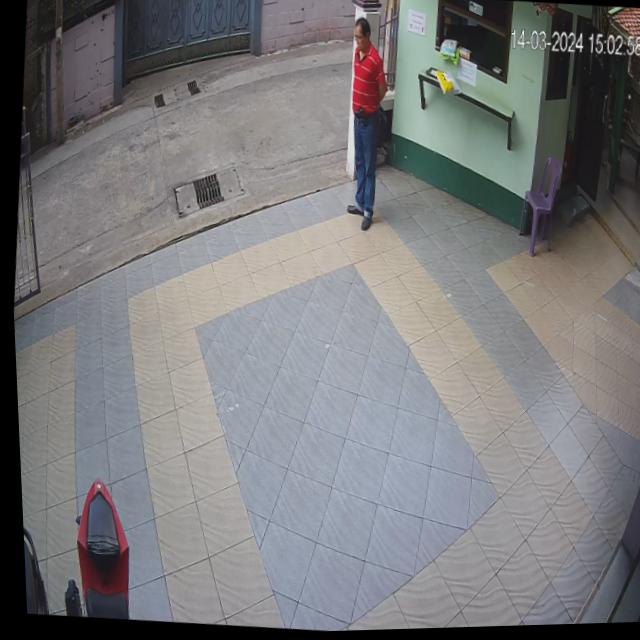 Dataset Image