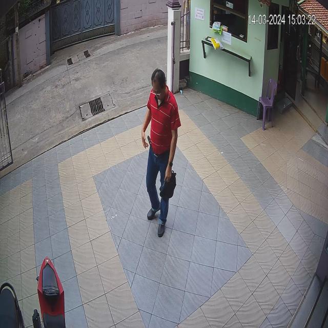 Dataset Image