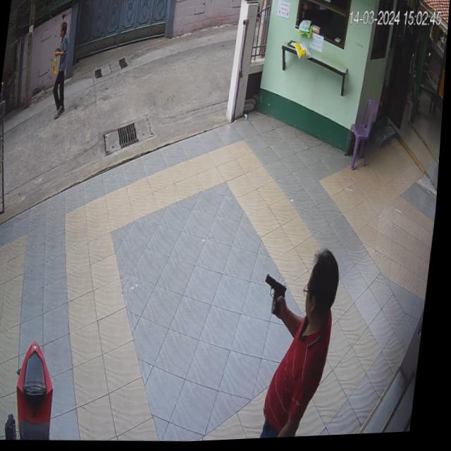 Dataset Image