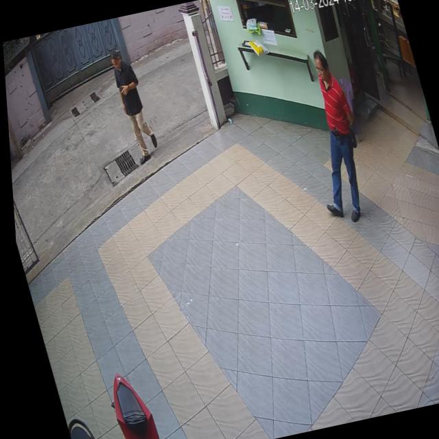 Dataset Image
