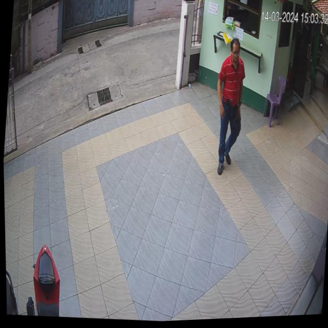 Dataset Image