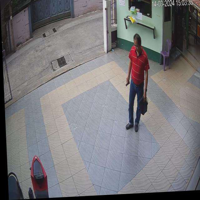 Dataset Image