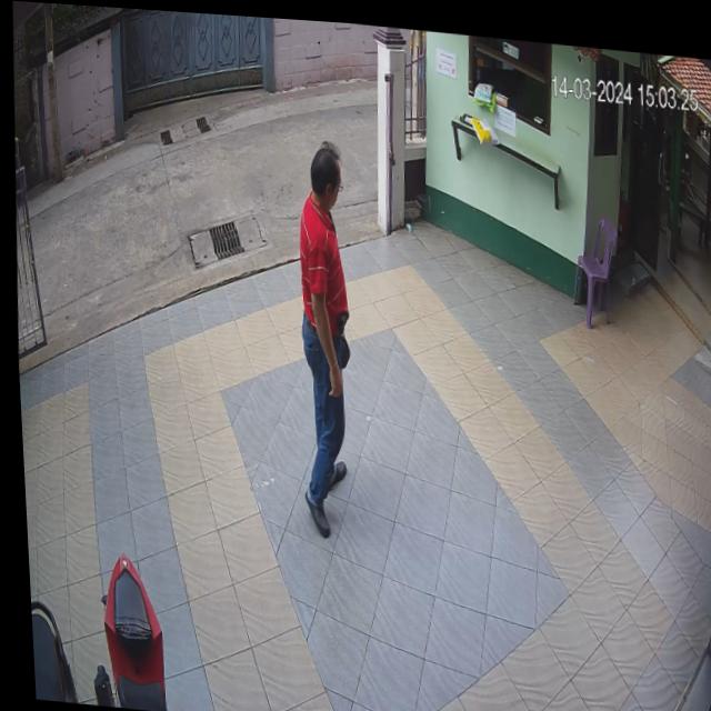 Dataset Image