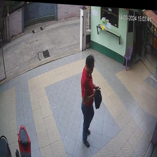 Dataset Image
