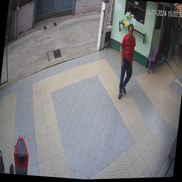 Dataset Image