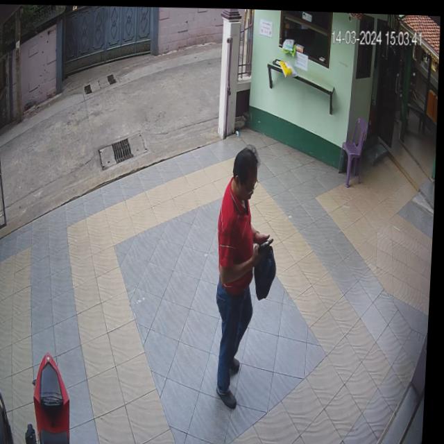 Dataset Image