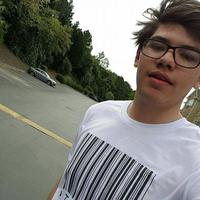 Dataset Image