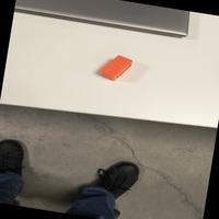 Dataset Image