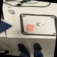 Dataset Image