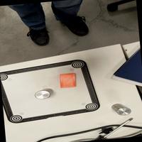 Dataset Image