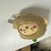 Dataset Image