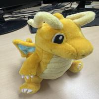 Dataset Image