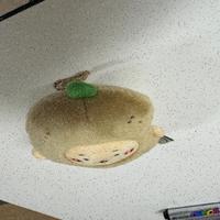 Dataset Image