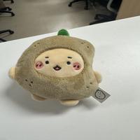 Dataset Image