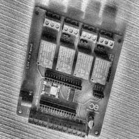 Dataset Image