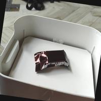 Dataset Image