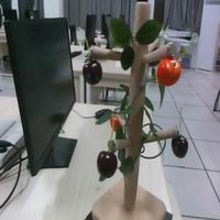 Dataset Image