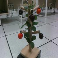 Dataset Image