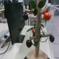 Dataset Image