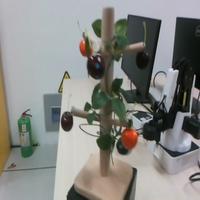 Dataset Image